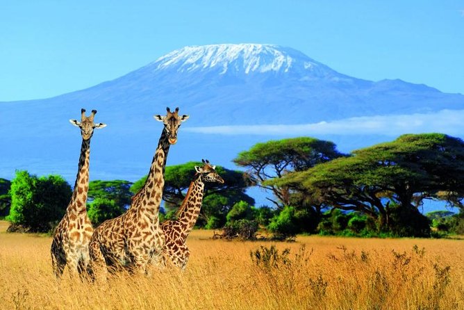 Amboseli National Park
