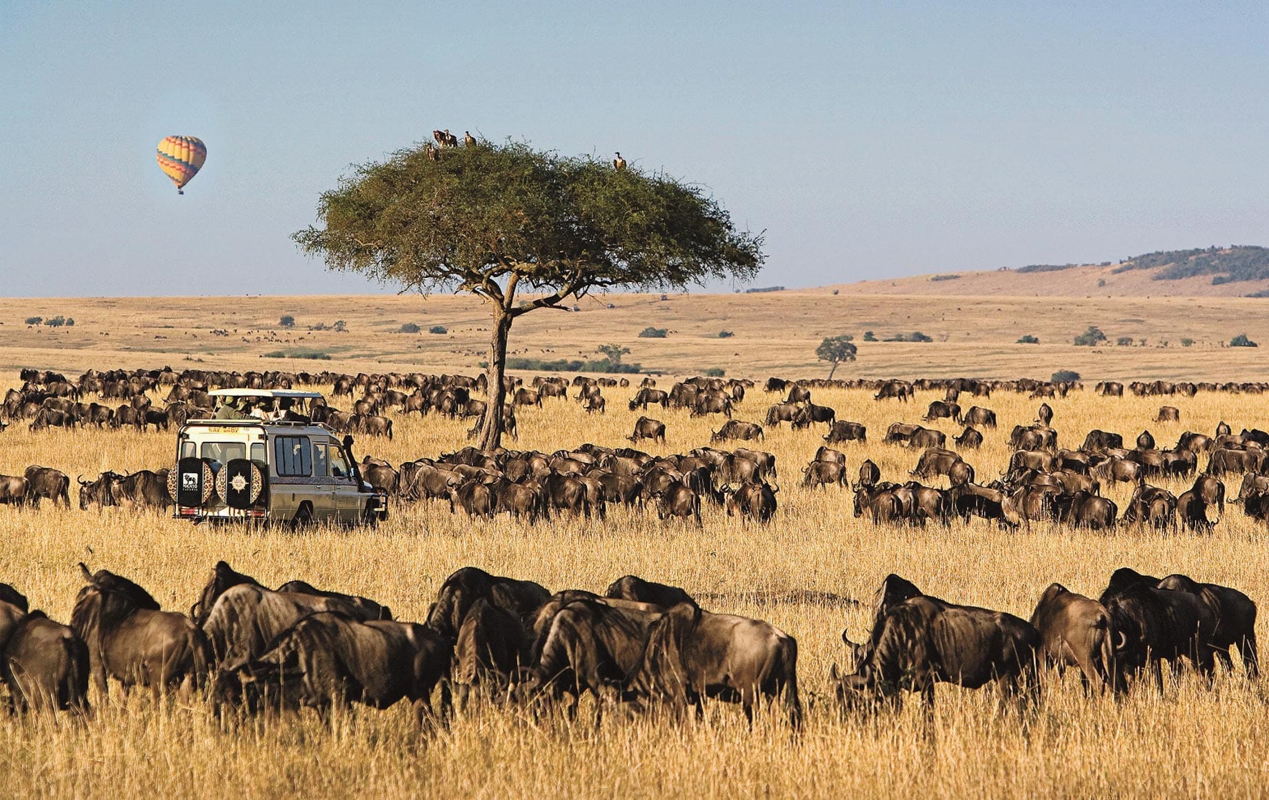 Masai Mara Migration Luxury Safari